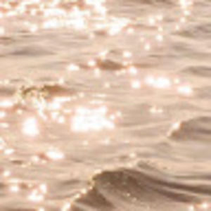 Meet your Posher, Leticia